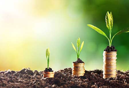 A Closer Look at the Key Trends in Sustainability Consulting